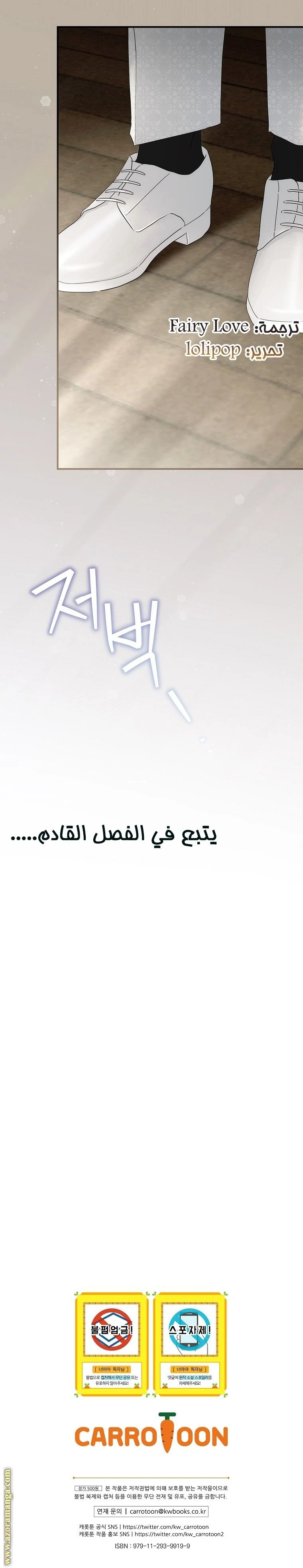 الصفحة 17