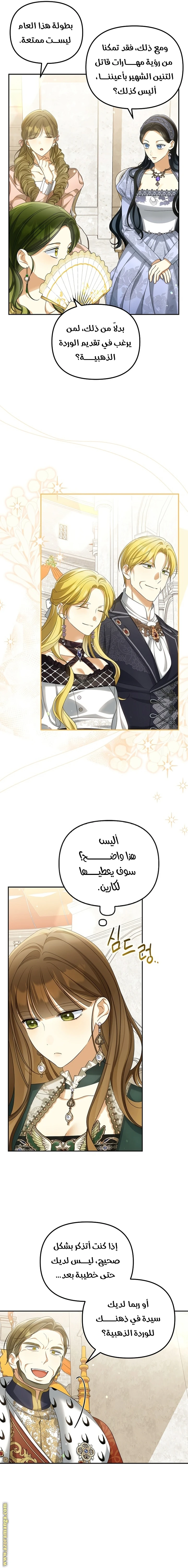 الصفحة 17
