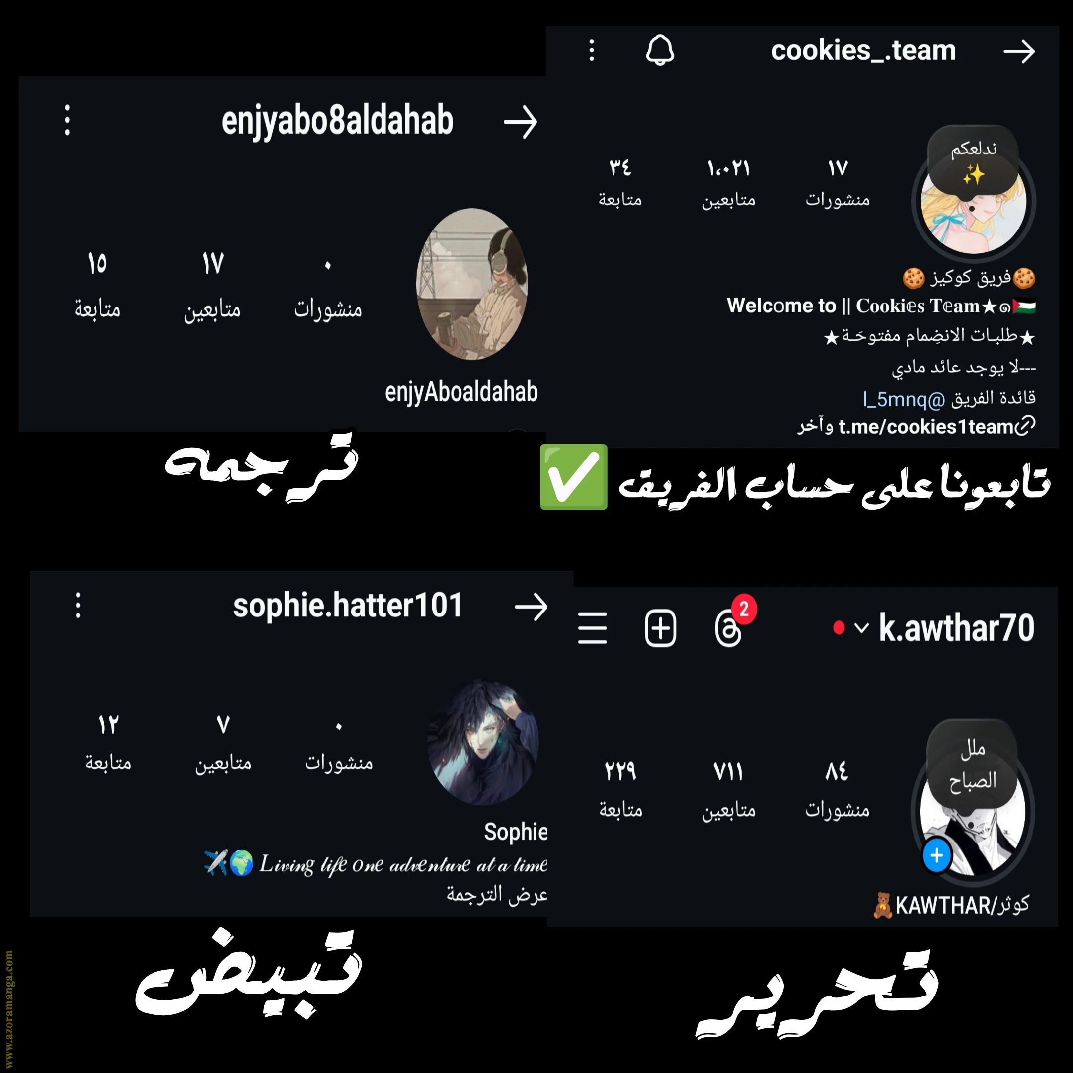 الصفحة 12