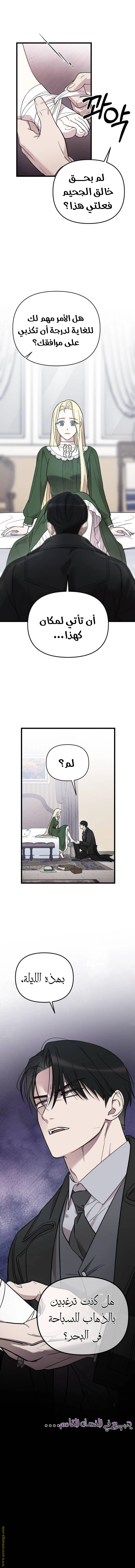 الصفحة 17