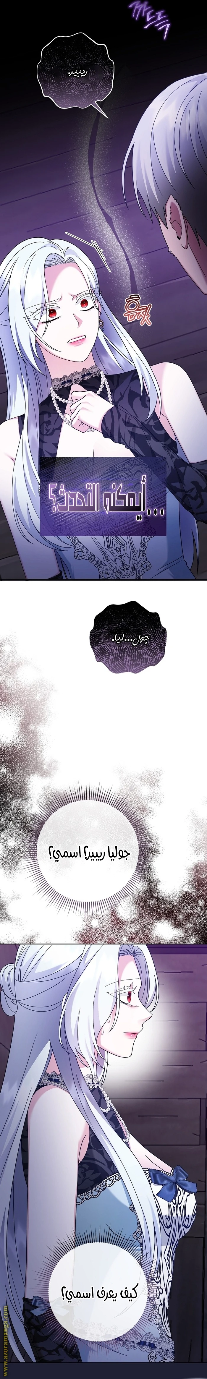 الصفحة 29