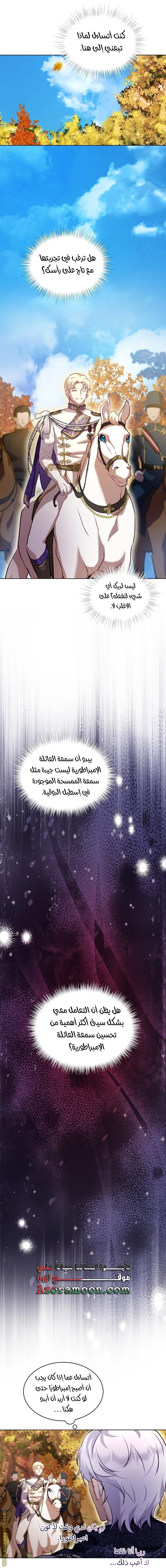 الصفحة 17