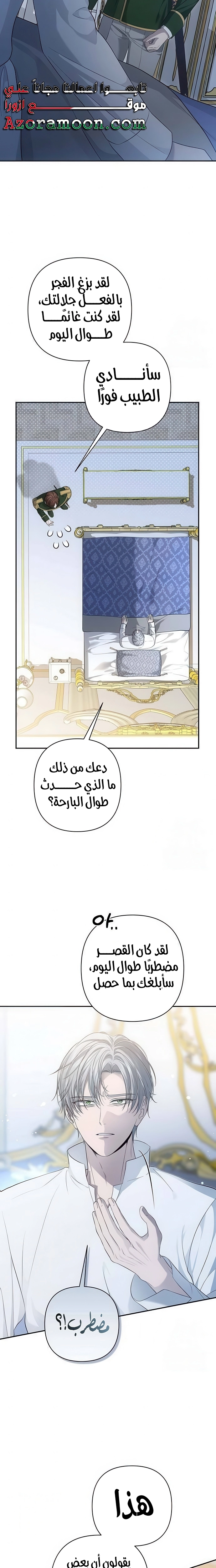 الصفحة 13