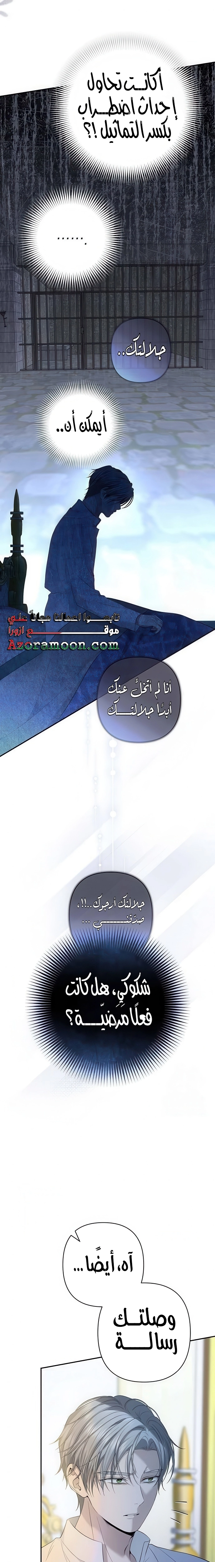 الصفحة 17