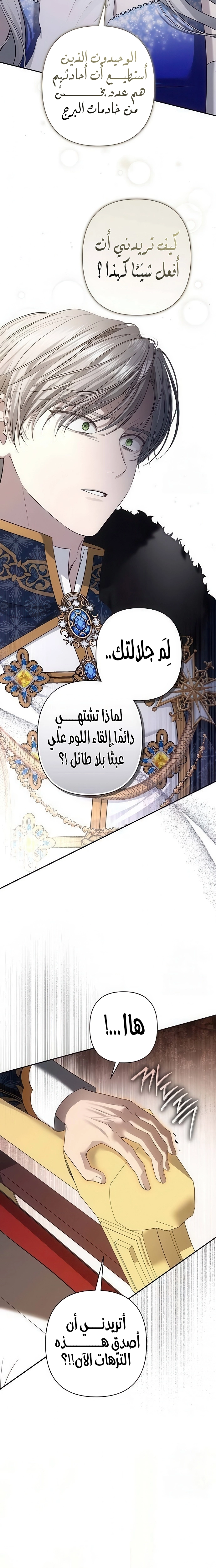 الصفحة 27