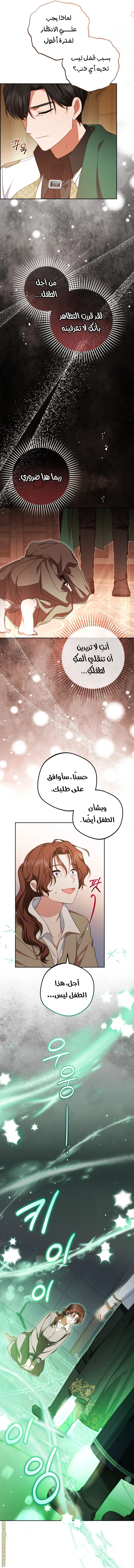 الصفحة 26