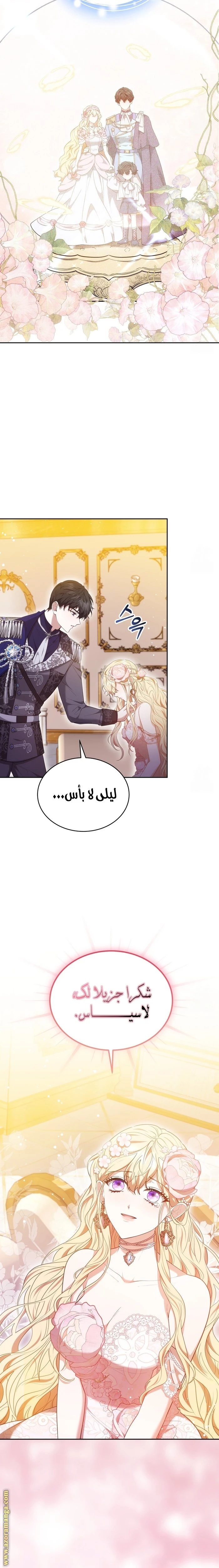 الصفحة 17