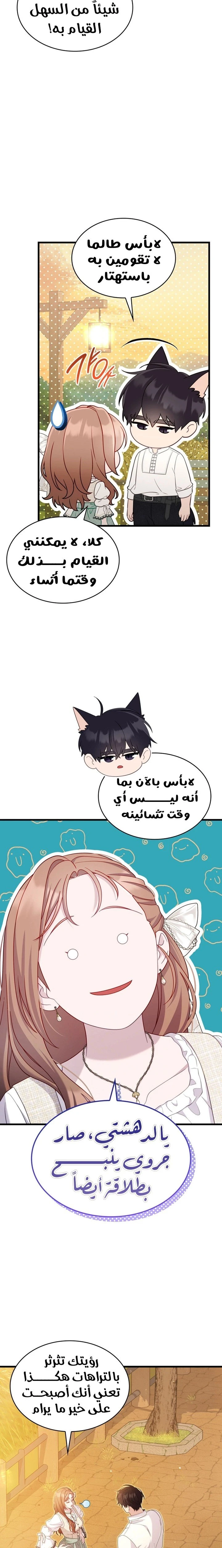 الصفحة 14