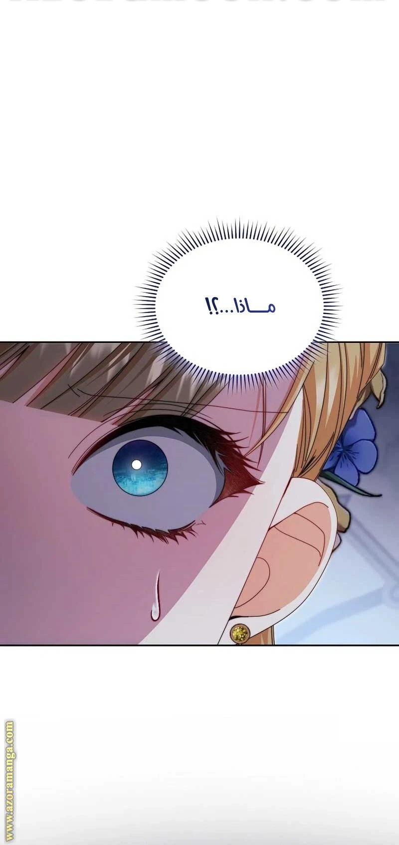 الصفحة 47
