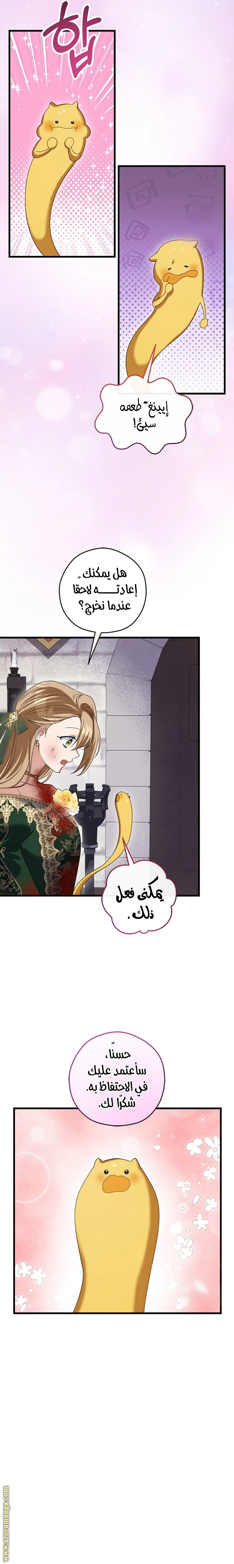 الصفحة 12