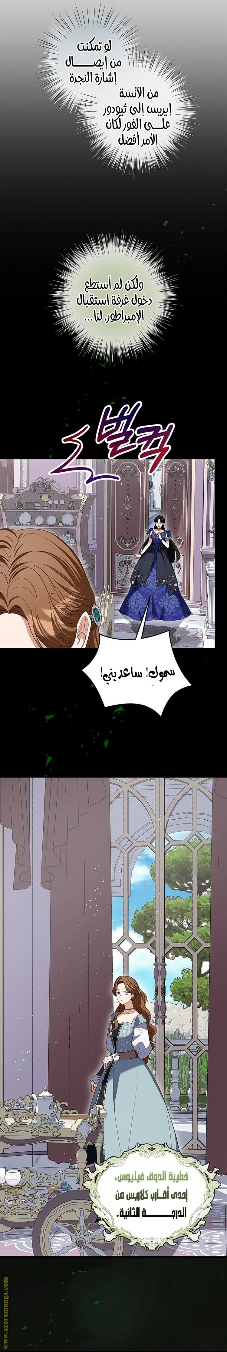 الصفحة 17