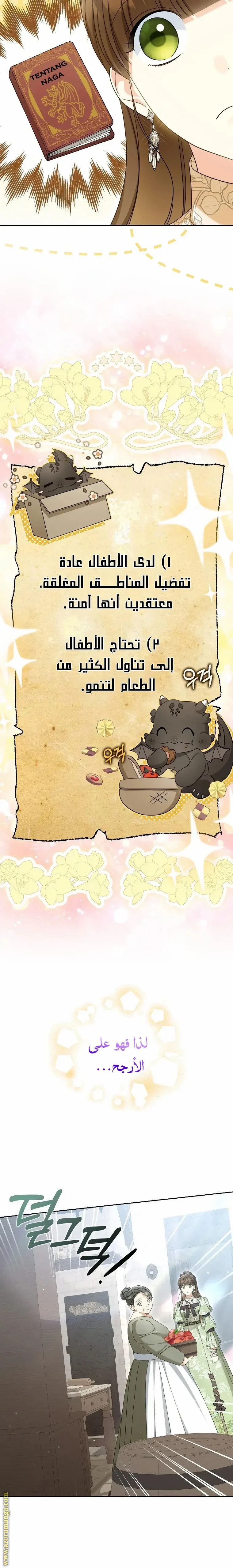 الصفحة 11