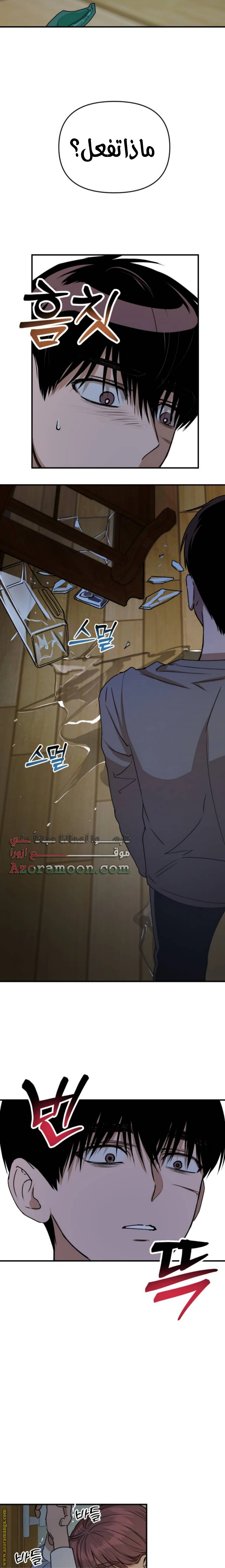الصفحة 11
