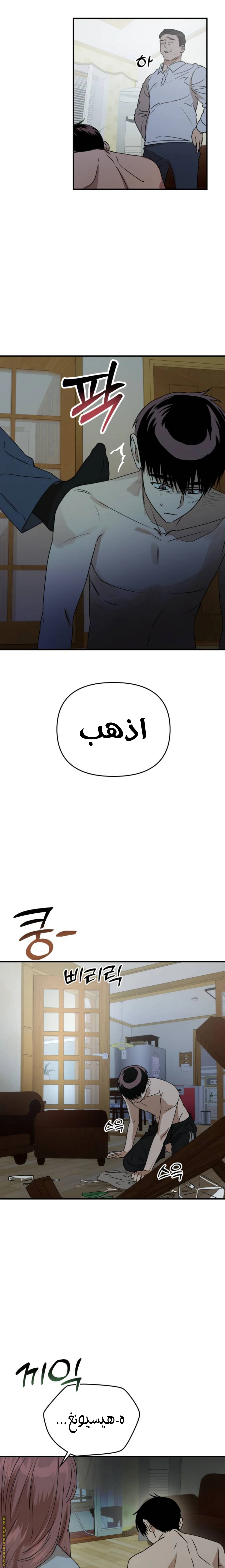 الصفحة 13