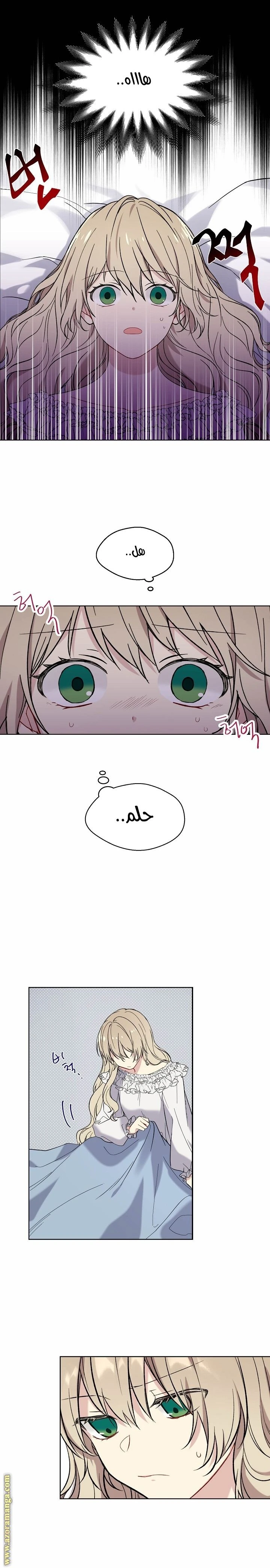 الصفحة 7