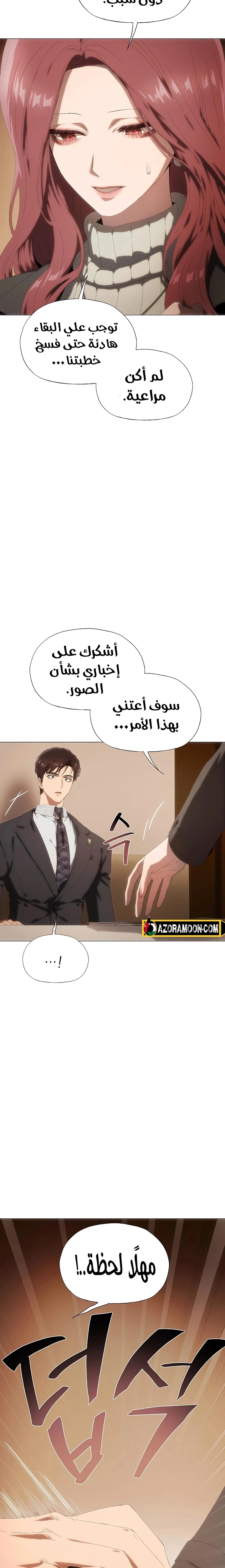 الصفحة 12