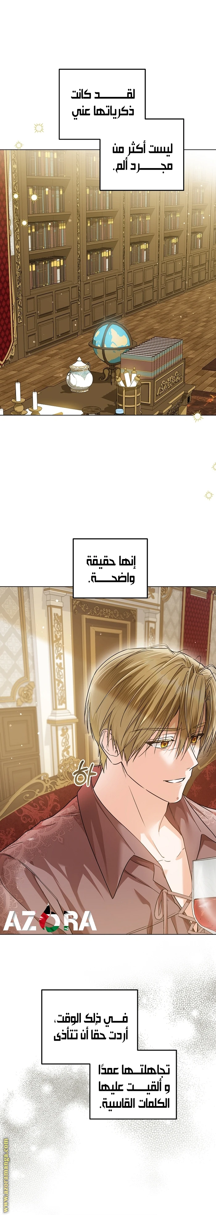 الصفحة 13