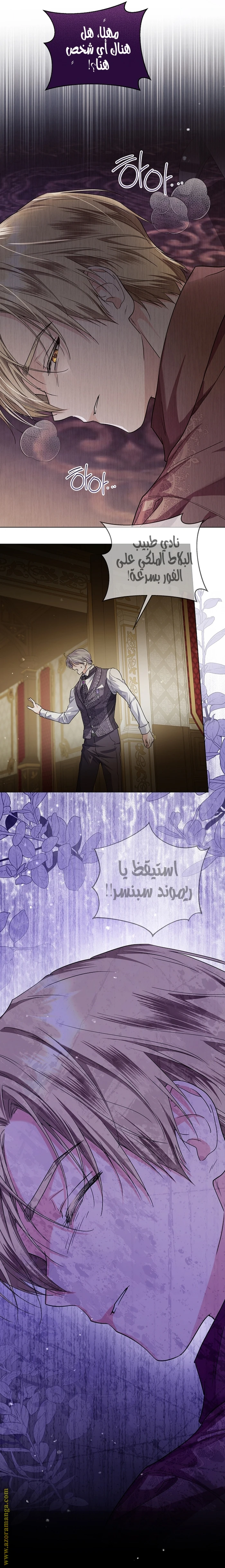 الصفحة 17