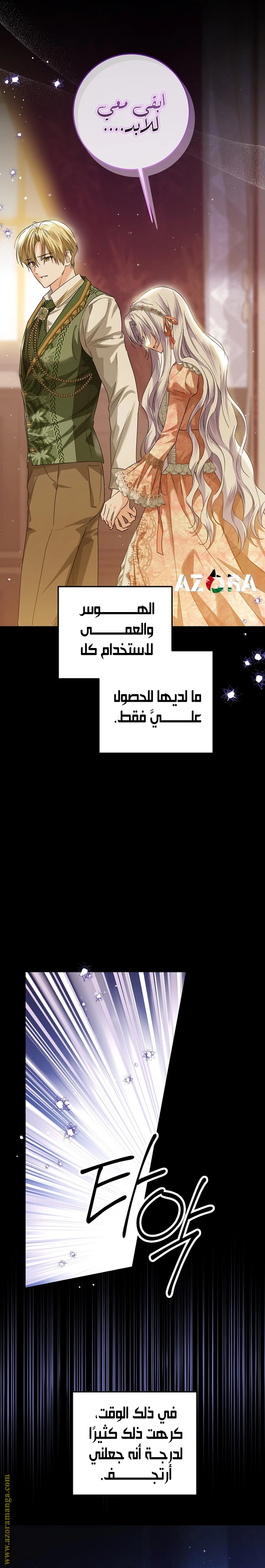 الصفحة 25