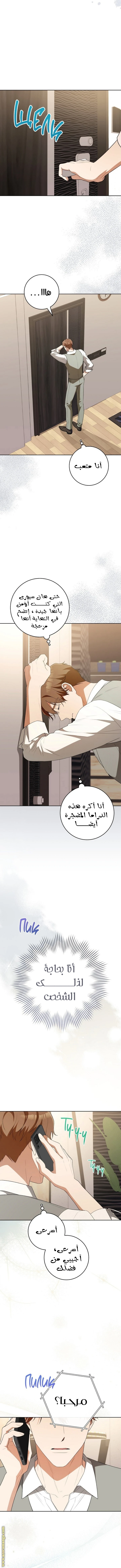 الصفحة 12