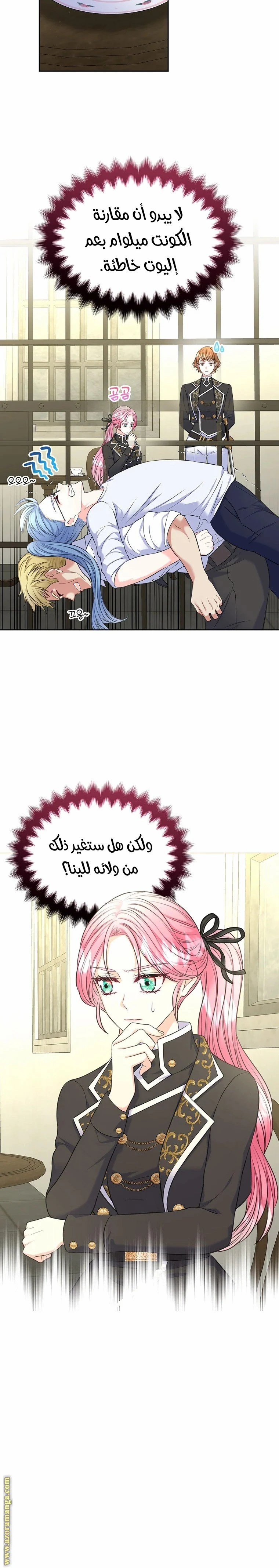 الصفحة 16