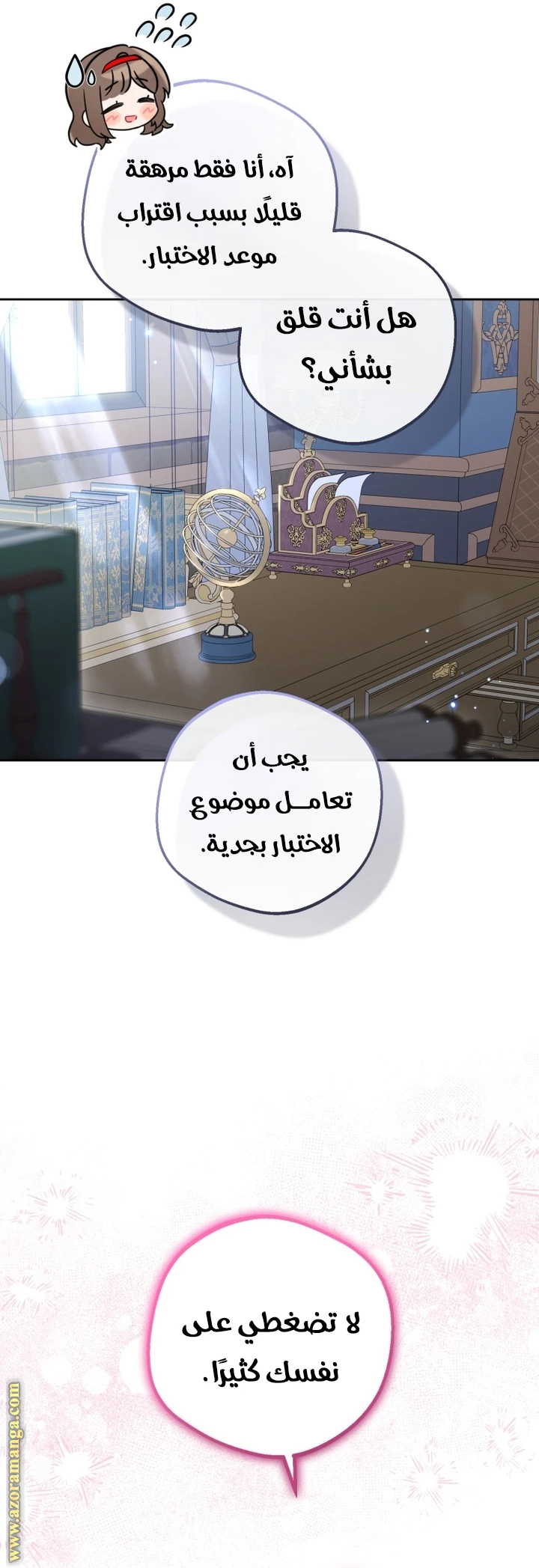 الصفحة 17
