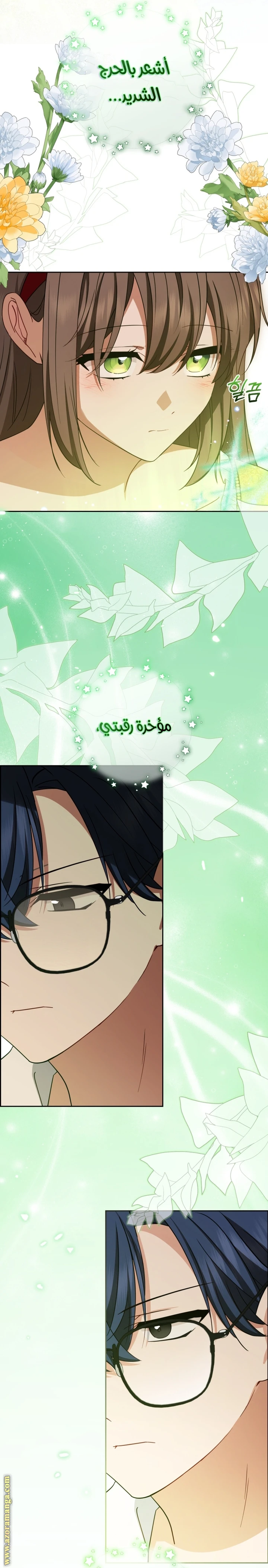 الصفحة 24