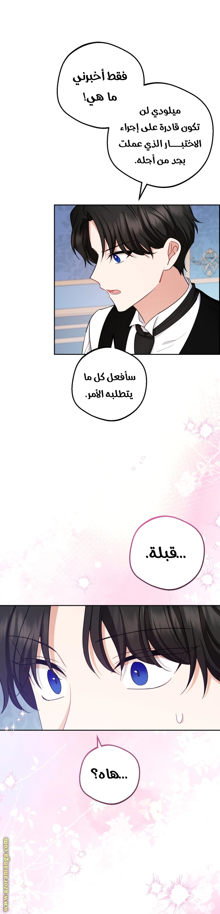 الصفحة 43