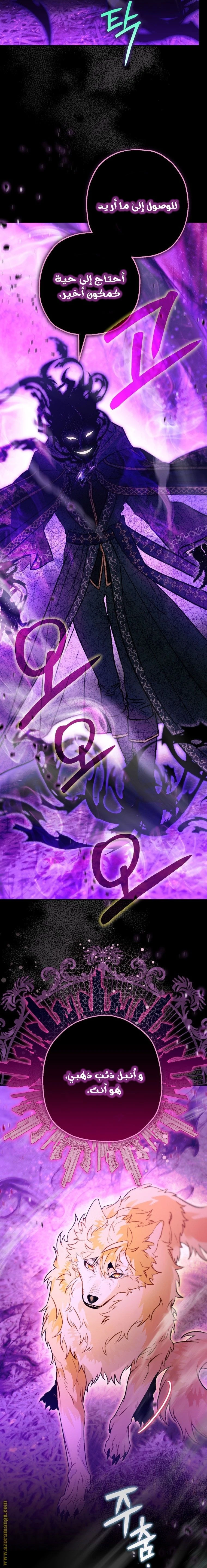 الصفحة 29