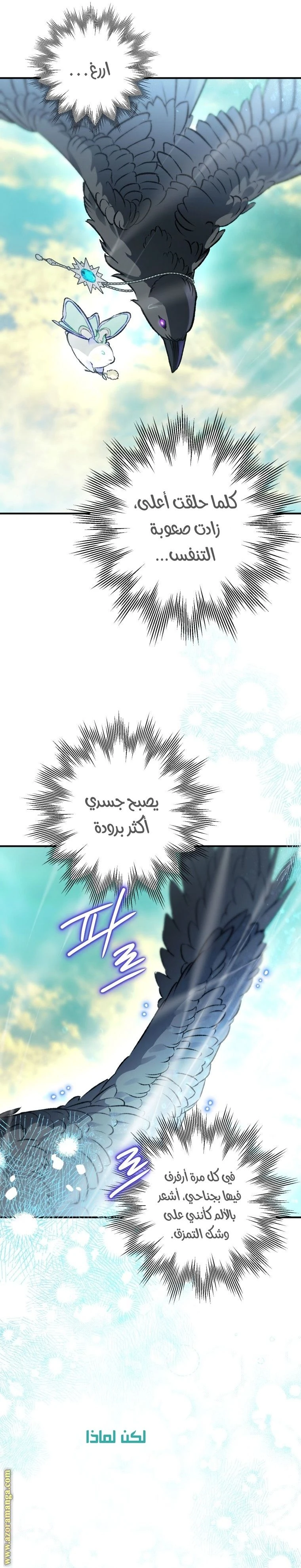الصفحة 31