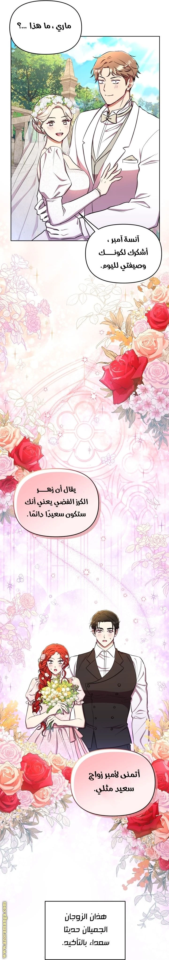 الصفحة 20