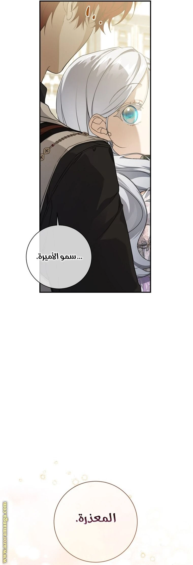 الصفحة 29