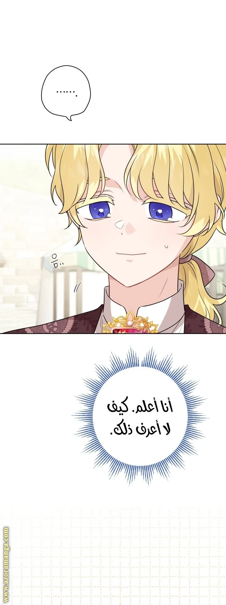 الصفحة 24