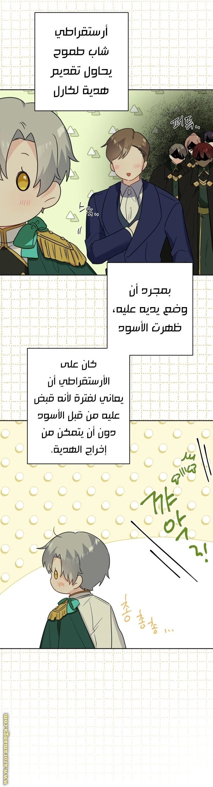 الصفحة 25