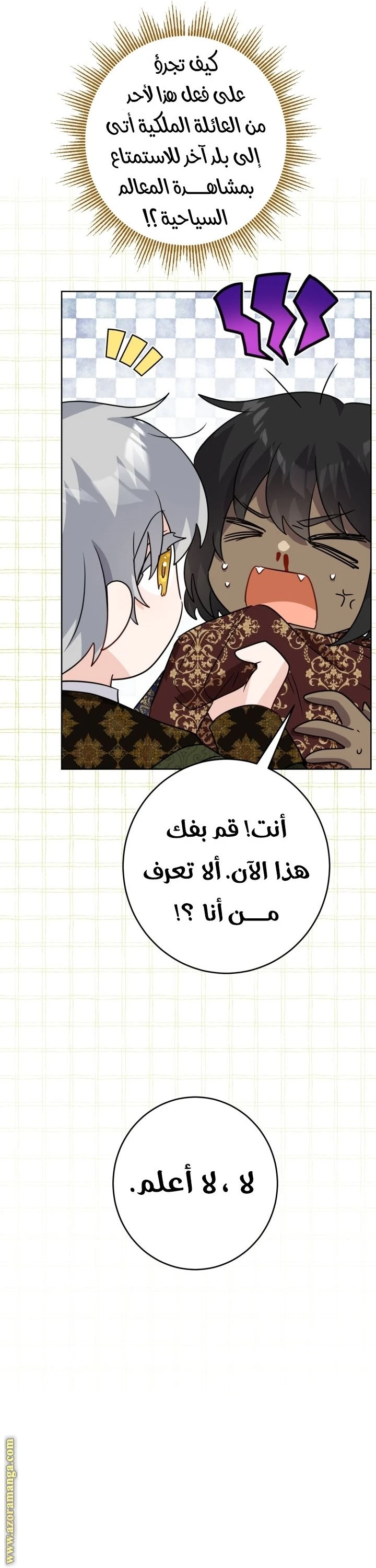 الصفحة 31