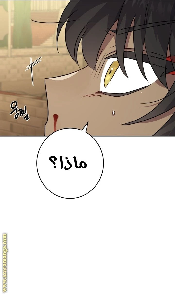 الصفحة 33