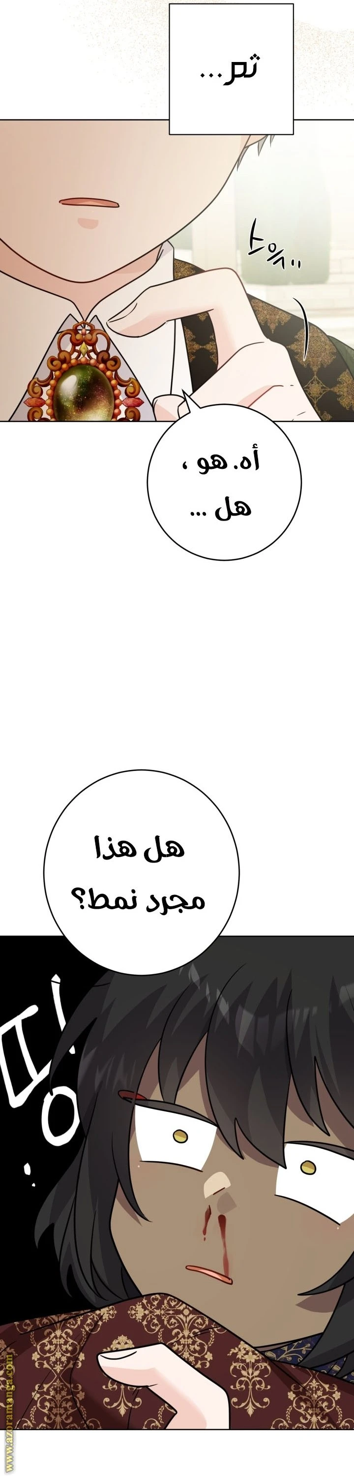 الصفحة 35