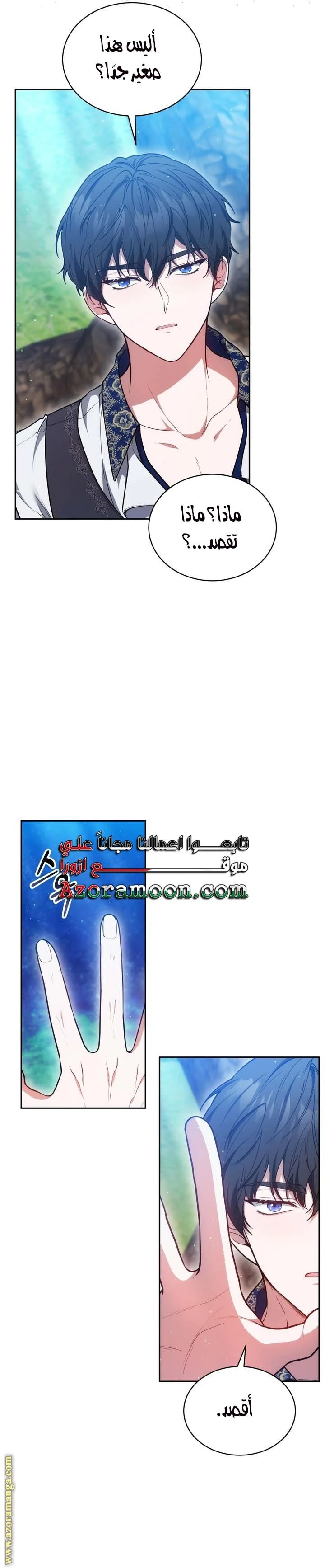 الصفحة 13
