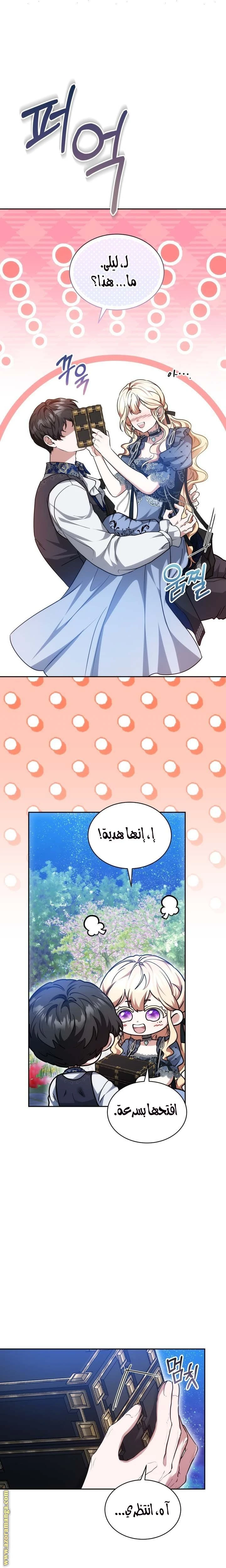 الصفحة 17