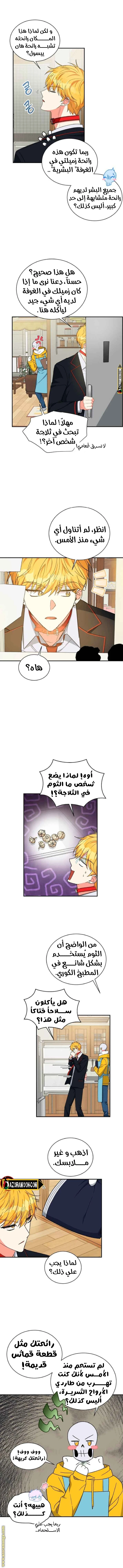 الصفحة 3