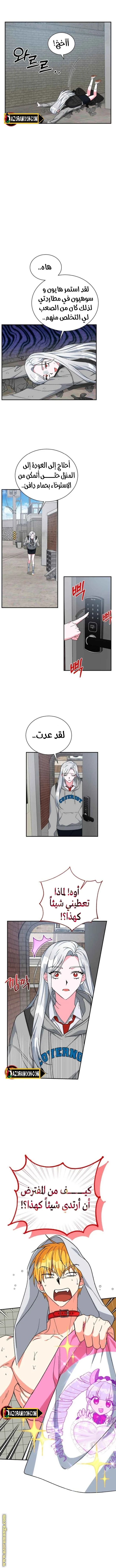 الصفحة 5