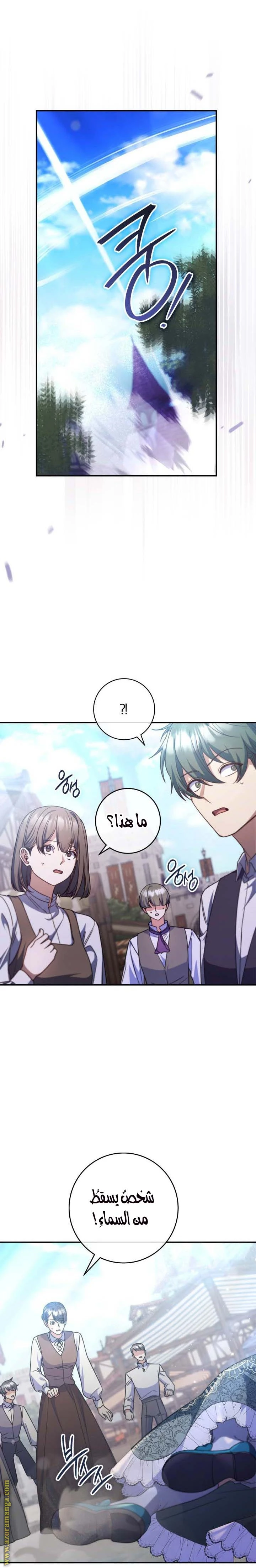 الصفحة 12