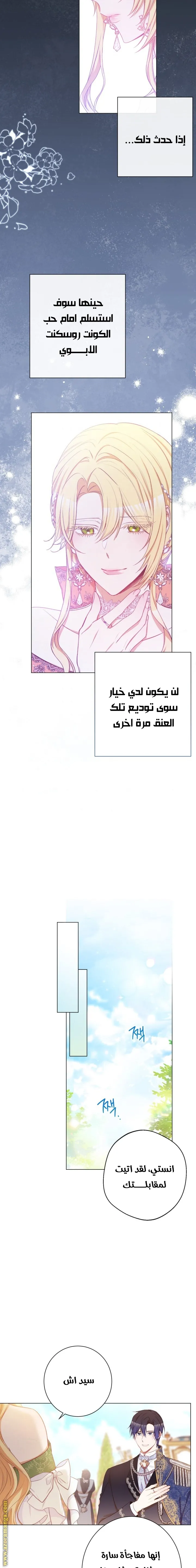 الصفحة 14