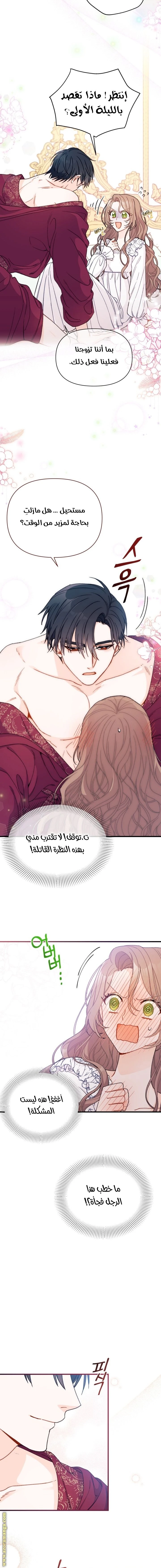 الصفحة 11
