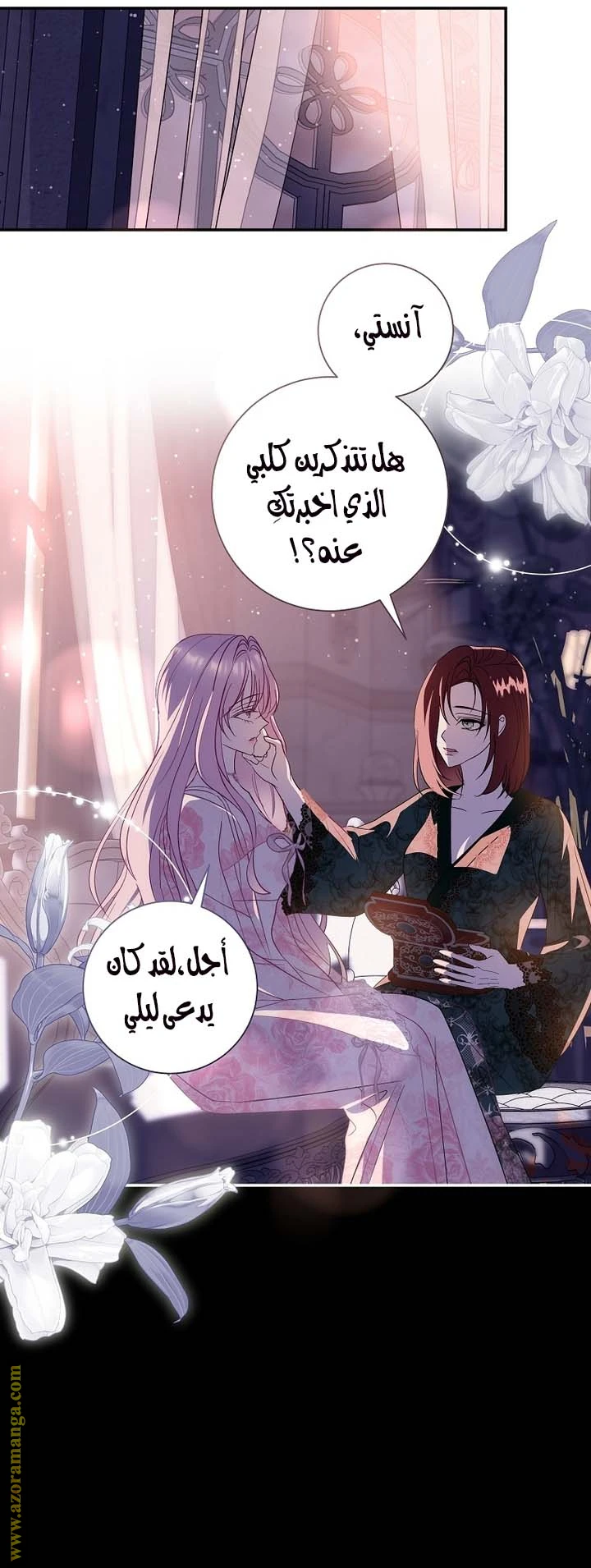 الصفحة 20