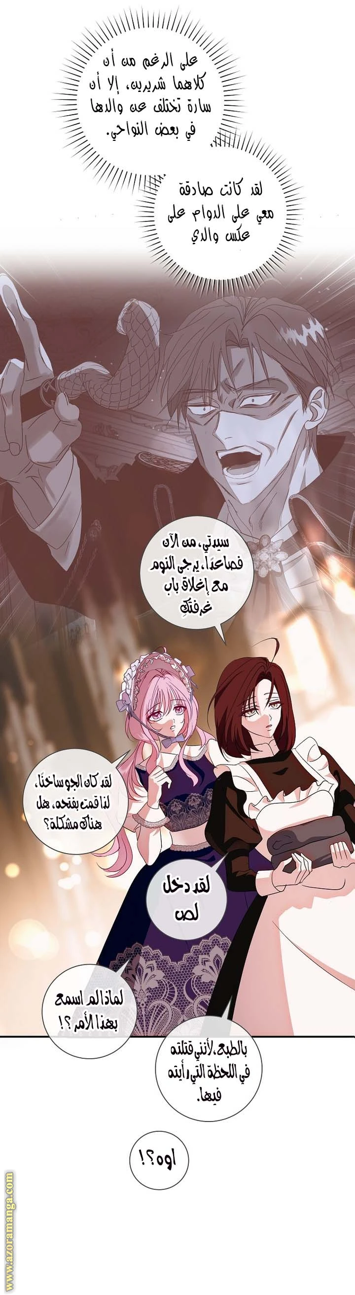 الصفحة 25