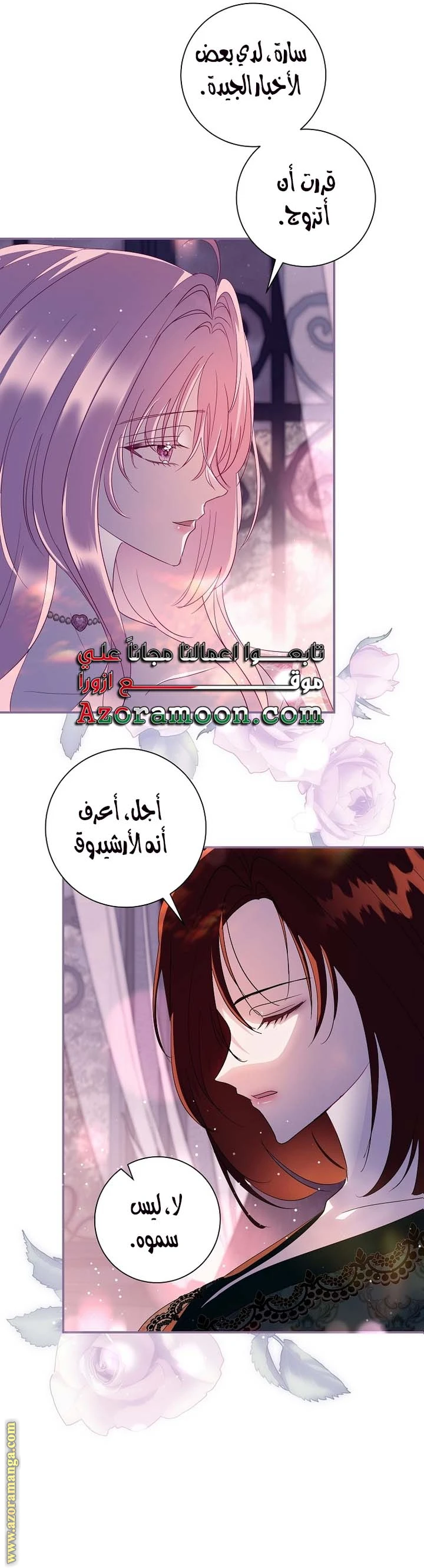 الصفحة 26