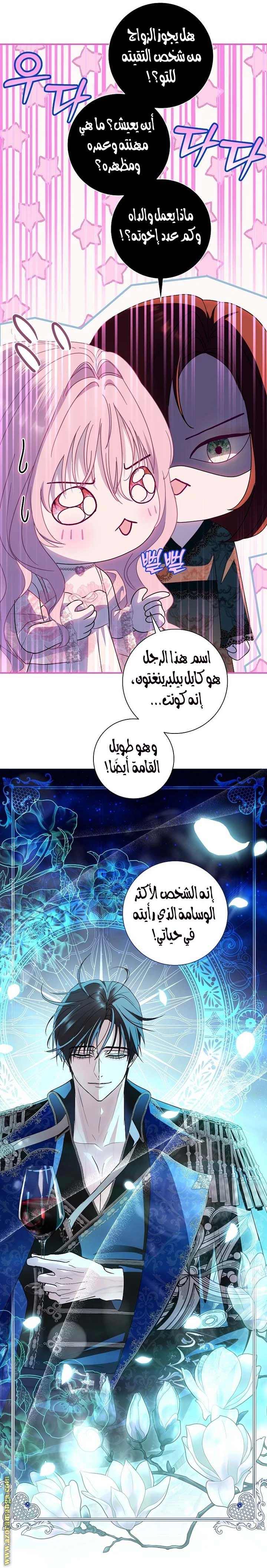 الصفحة 29