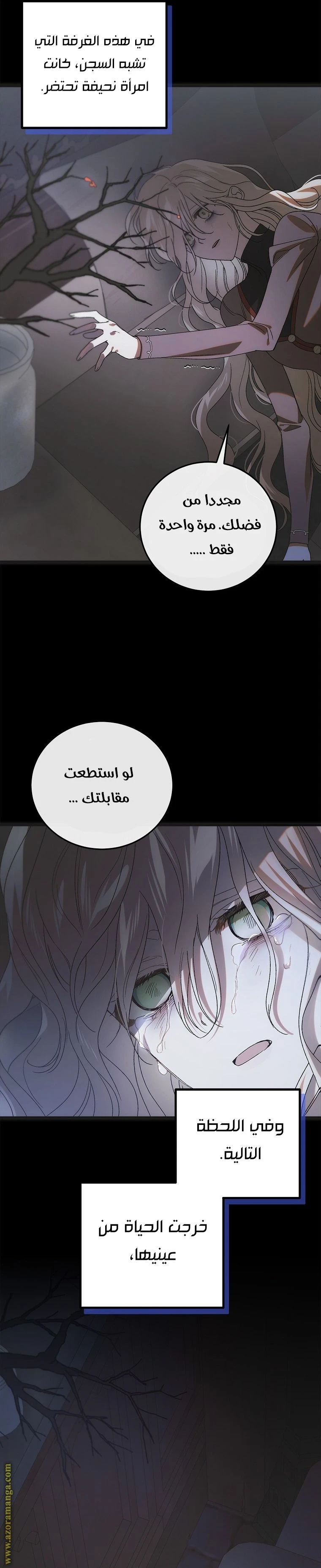 الصفحة 17