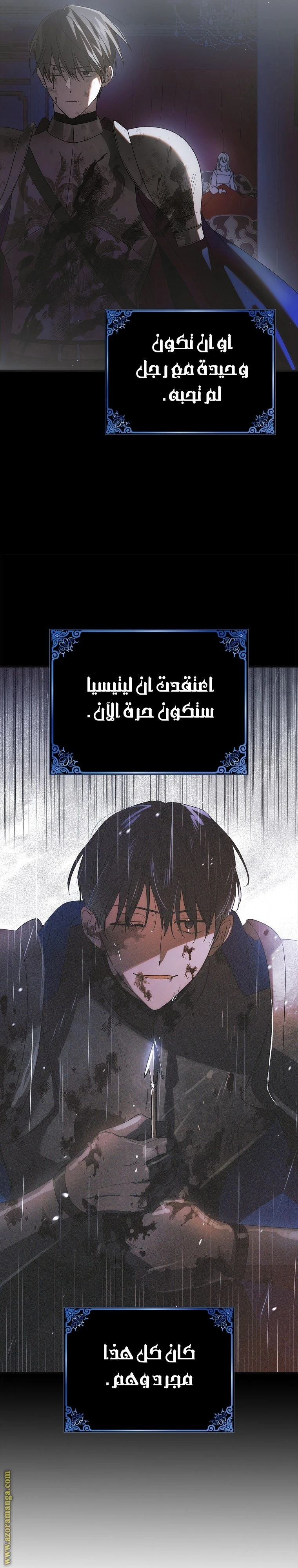 الصفحة 27